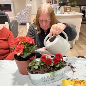 Senior flowering the pot